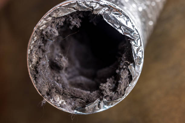 Air Duct Mold Removal in SC