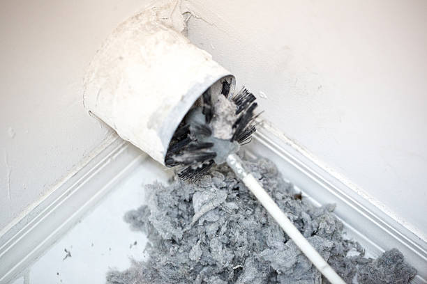 Best Affordable Duct Cleaning Services  in White Knoll, SC